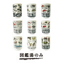 図鑑湯のみ 湯呑み 湯のみ ゆのみ 湯飲み 陶器 可愛い かわいい プレゼント ギフト 粗品 景品 イベント ネコ 猫 おしゃれ お寿司 魚 野菜 海 生物 楽器 戦国 おもしろ雑貨 おもしろグッズ ユニーク 贈り物