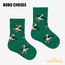 BOBO CHOSES La Oca all over short socks (13cm/13-14.5cm) ボボショーズ ベビー ソックス 靴下 総柄 グリーン アヒル ダック こども服 キッズ ベビー服 出産祝い ギフト リトルレモネード アパレル B225AH034 AW25 KTZ