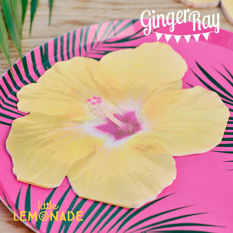 Ginger Rayۥꥢץ ϥӥΥڡѡʥץ 16  ե  ʥץ  ȥԥ ...