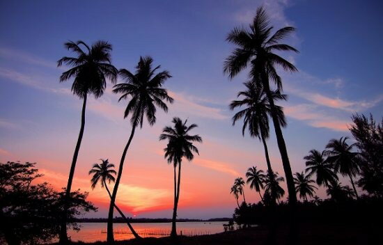 【サンセットのタペストリー 風景画】ヤシの木 インテリア 西海岸 リゾート 夕焼け 海 ポスター 模様替え【部屋 壁掛け 飾り】 glaw リトルレモネード SALED