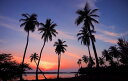 【サンセットのタペストリー 風景画】ヤシの木 インテリア 西海岸 リゾート 夕焼け 海 ポスター 模様替え【部屋 壁掛け 飾り】 glaw リトルレモネード S...