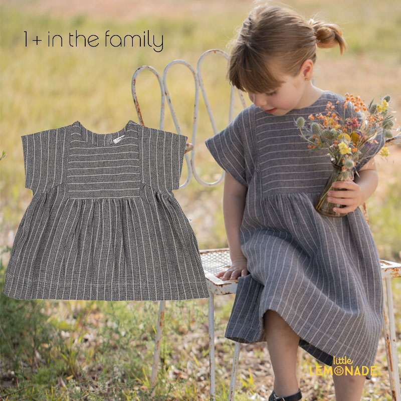 1+ in the familyNICOLETTA s.sleeve dress | ANTHRACITE 12/24/36Ⱦµ ԡ dress ȥ饤 ȥե ٥ӡ ⥢󥶥եߥ꡼ Ҥɤ ȥ͡  ѥ SS24 KTZ