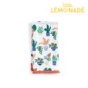 【Paper Source】 ティータオル 2枚セット/プラント キッチンクロス 台ふきん 布きん 食器拭き tea towel キッチンアイテム 結婚祝い ギフト サボテン plants リトルレモネード 300均