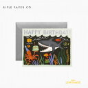 【RIFLE PAPER】 シャークバースデー / Shark Birthday バースデイカード 誕生日 Birthday カード message card メッセージカード グリーティング メッセージ greeting プレゼント お祝いー ライフルペーパー GCB070 あす楽 リトルレモネード