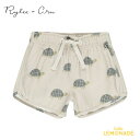 【Rylee+Cru】SWIM TRUNK 【12-18か月/2-3歳/4-5歳】 SEA TURTLE 水着 スイムパンツ スイムウェア 海パン 長袖水着 か...