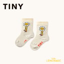 タイニーコットンズ Daisies Medium Height socks (0-12か月/12-24か月) TINYCOTTONS ベビー靴下 ソックス お花 デイジー フラワー ユニーク おしゃれ 赤ちゃん 新生児 出産祝い 出産準備 お出かけ 女の子 男の子 子ども服 ベビー服 アパレル リトルレモネード AW25-503 KTZ