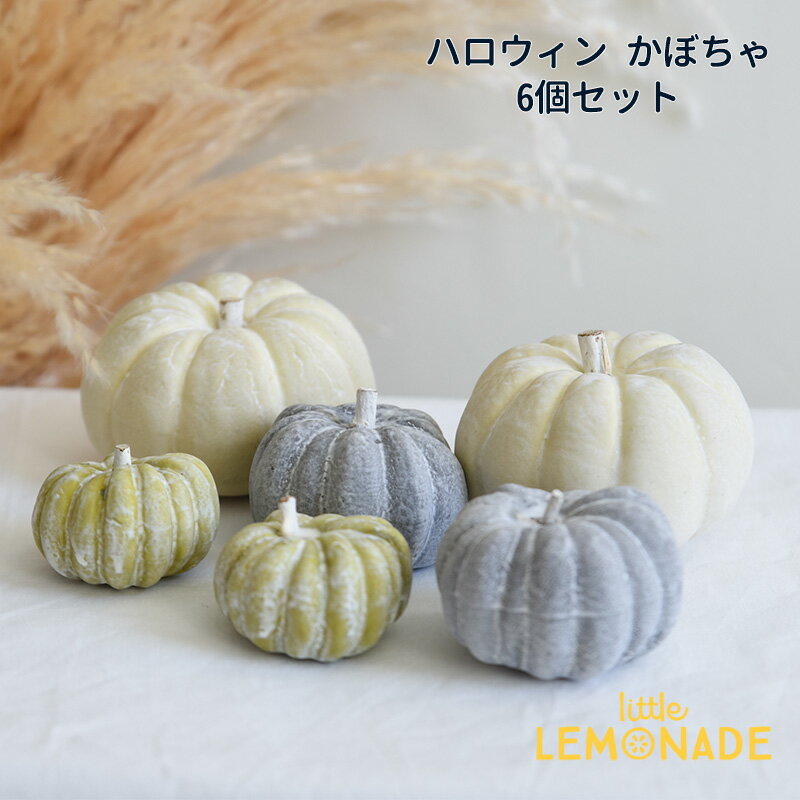 ハロウィン パンプキン シャビーアソート 6コ入 かぼちゃ 飾り Halloween ハロウィーン イミテーション 装飾 秋 オブジェ 置物 ディスプレイ 小物 デコレーション グッズ 白 リトルレモネードのサムネイル