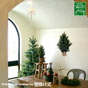 【クリスマス用品・ご予約！】壁掛けツリー：場所を取らない人気
