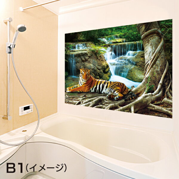 お風呂ポスター　休息中のトラ　B1（103×72.8cm）　長期固定タイプ（吸着素材）