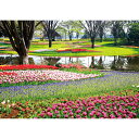 春の花と公園 【業務用サイズ】 防水ポスター おふろポスター 銭湯気分