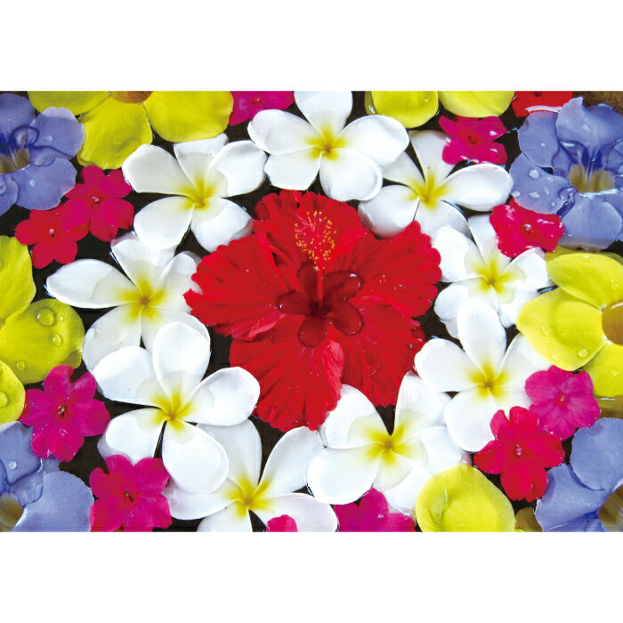 お風呂ポスター　フラワーバス　防水ポスター　おふろポスター　銭湯気分