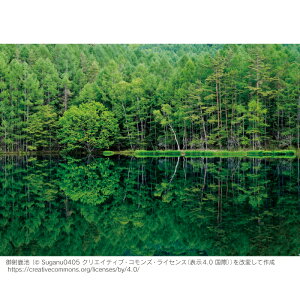 お風呂ポスター 御射鹿池(長野県) 防水ポスター おふろポスター 銭湯気分