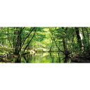 お風呂ポスター　緑の小川　パノラマ（105×42cm）　長期固定タイプ（吸着素材）