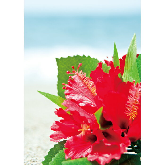 お風呂ポスター　真っ赤なハイビスカス　防水ポスター　おふろポスター　銭湯気分