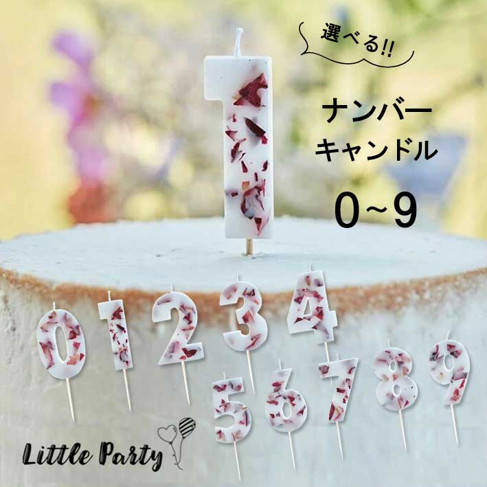 ʥСɥ եNo.09  [Pressed Petal Birthday Cake Candle] ɥ ...