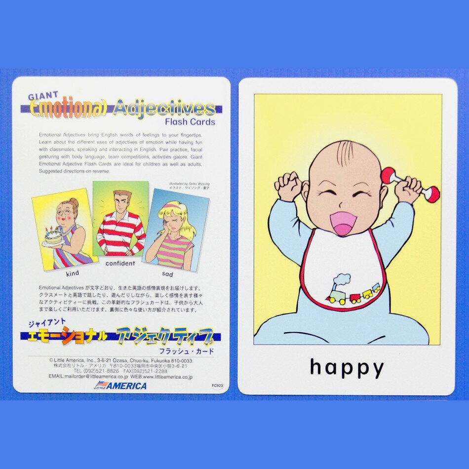 ジャイアント エモーショナル アジェクティブズF/C Giant Emotional Adjective Flash Cards 【小学生 中学生にオススメ 英語教材】