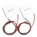 WayinTop TEC1-12706 半導体熱電 半導体冷却片 熱電冷却モジュール 40x40mm (2枚)