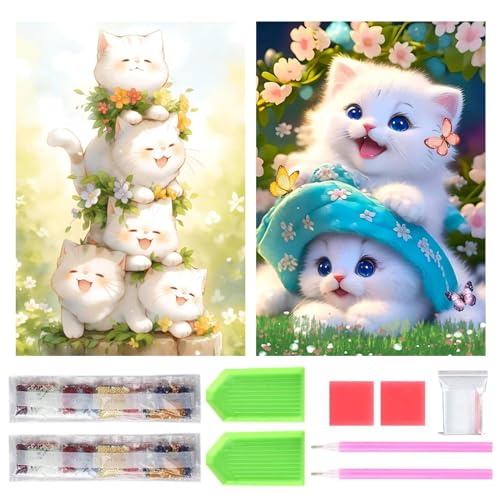 ���ॳ�� ��������ɥ����� ���å� ��������ɤγ��� 2�ĥ��å� ���줤 ����Ž���դ� ��������ɥ����� 5D �鿴�� ��ͤλҶ� DIY ��ݥ��å� ��...