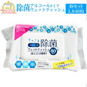 在庫あり 即日発送 3840枚 【 蓋つき 除菌シート アルコール 48個セット 80(枚/個)】 除菌 ウェットシート ウェットティッシュ 手 手指 ハンド 簡単 家庭用 携帯用 携帯 持ち運び 外出 大容量 アルコール除菌 対策 消毒 tkj