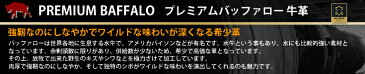 Liugoo Leathers 本革 レザーウエスタンシャツ メンズ リューグーレザーズ SHT02A レザーシャツ 本革シャツ 皮シャツ ウェスタンシャツ ドレスシャツ ライダースジャケット レザージャケット 革ジャン 皮ジャン ライディングジャケット バイク用 ライダースウェア 黒