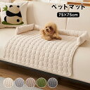 ペットベッド 猫 犬 ねこ ペット ソファー 枕付き ベッド ソファーカバー マット クッション 犬猫用 ペットマット 通気性 寝床 ぐっすり眠れる 耐噛み 洗える 犬猫兼用 滑り止め 小型犬 超小型犬 柔らかい アゴ乗せ 傷防止 猫用 水洗い 爪とぎ傷 防塵 オールシーズン