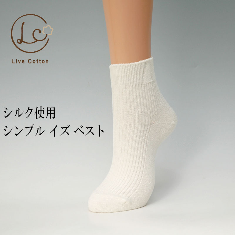 シルク・シンプルソックス（SS）20-22cm(4.0)