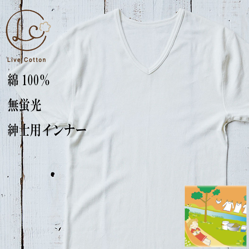 ライブコットン無蛍光コットン肌着・紳士半袖V首シャツ クロネコゆうパケット ネコポス（メール便）可 ..