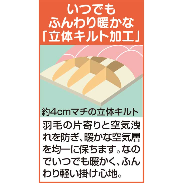 羽毛布団 シングル 日本製 掛布団 掛け布団 ロイヤルゴールドラベル付き 暖かい 冬 ホワイトダックダウン93% 軽い ダウン 立体キルト加工 [3]