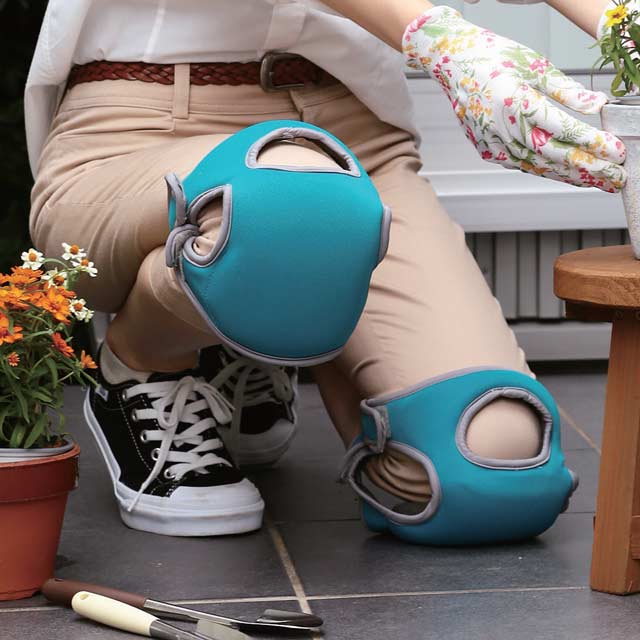 ɨѥå 2­4ĥå ɨ ɨݡ ξҤ OK 餫 ȿȯ Ȼ  ǥ˥  ݽ