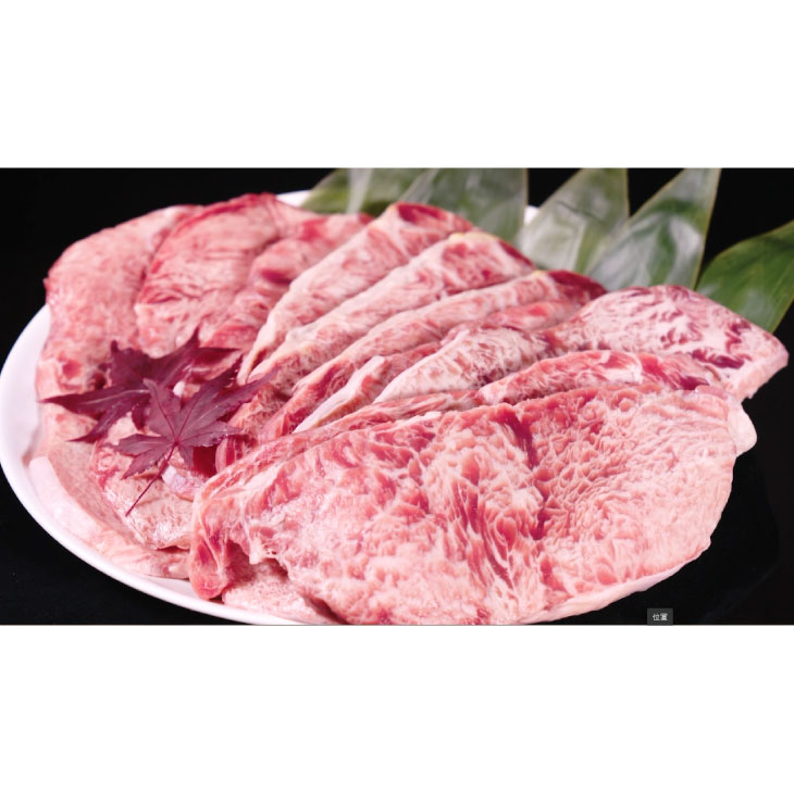 ステーキ サーロイン サーロインステーキ 10枚 1.2kg 牛サーロインステーキ 牛肉 肉 冷凍 liveit-10017674 ライブイット サンプル画像2