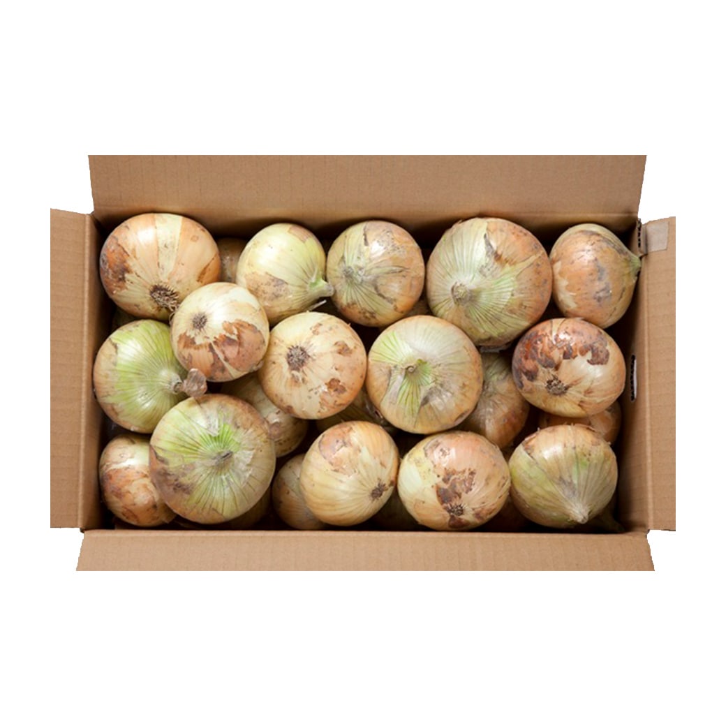 Rakuten - 淡路島産 新玉ねぎ 2kg
