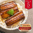 浜名湖産 うなぎ蒲焼 缶詰 5缶 食品 魚介類 シーフード ウナギ 蒲焼き おかず おつまみ 食品 保存食 食品 長期保存