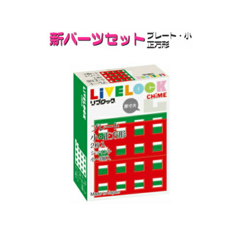 知育玩具リブロック【パーツセット】プレート小・正方形（プレート2枚、ジョイント4個）（計6個入）
