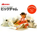 知育絵本【大型図鑑絵本】ビッグチャム全巻セット(全8巻)
