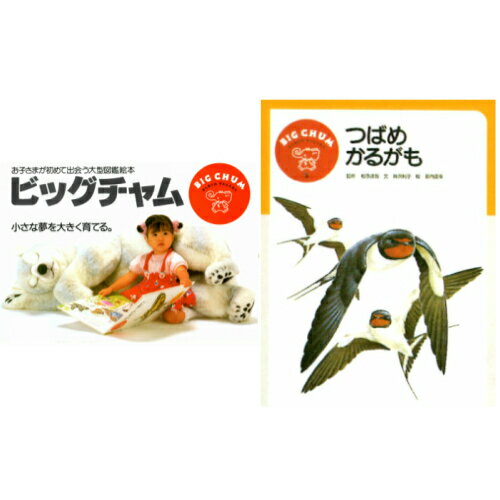 知育絵本【大型図鑑絵本】ビッグチャム第5巻　つばめ・かるがも