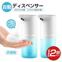 【楽天1位】【2点セット】ソープデ