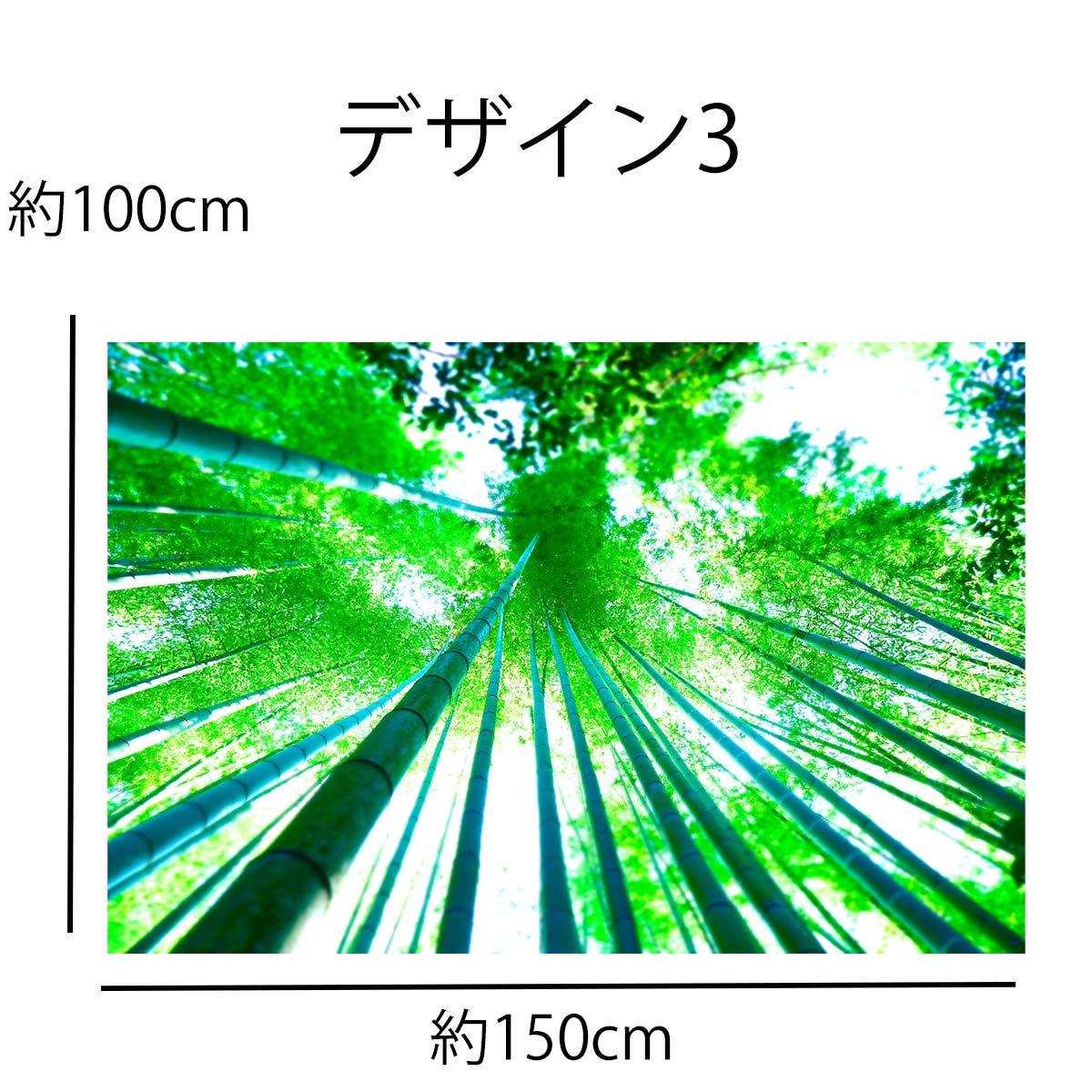 楽天市場 タペストリー 竹林 竹 笹 和風 和モダン 京都 嵐山 世界遺産 自然 木漏れ日 インテリア 壁面 おしゃれ だまし絵 風景 景色 絶景 大判 大きい 癒し 部屋 飾り付け 季節 プレゼント 背景布 ファブリックポスター 壁 インスタ映え Zoom 雑貨 グッズ