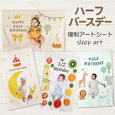【新登場!特別価格】寝相アート 寝相アートシート ハーフバースデー バースデイ 誕生日 記念日 成長 月齢フォト お昼寝アート マット ブランケット 膝掛け 祝い 赤ちゃん インスタ映え 記念写真 撮影 背景 メモリアルグッズ 成長記録 男の子 女の子 写真撮影 雑貨