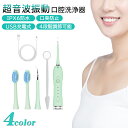 口腔ケア美容器 口臭防止 口腔洗浄器 超音波振動 IPX6防水 歯石取り 器具 歯石除去 周波振動スケーラー 振動デンタルクリーナー 歯用ツール 電動歯ブラシ 口腔ケア美容器 口臭防止 歯周病予防 4カラー 3段階調整 LEDライト付 送料無料 美容家電
