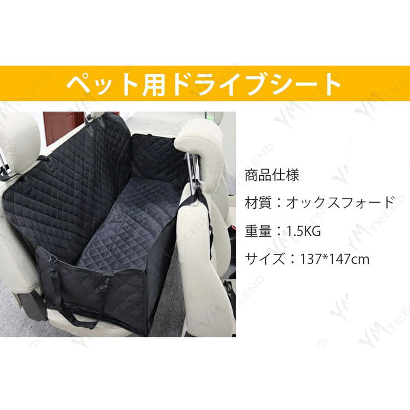 サンプル画像3