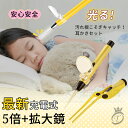 耳かき ライト ピンセット 耳掻き ライト付き 子供 大人 ルーペ付き 光る耳かき LED USB充電 耳掃除 幼児 おしゃれ 光る(4)