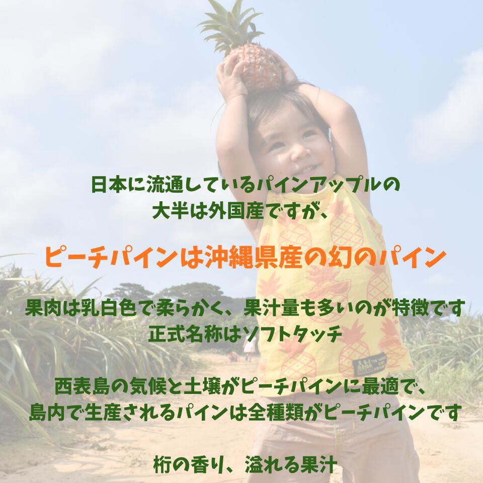 ピーチパイン 西表島 パイナップル 国産 パイン 芯まで食べれる