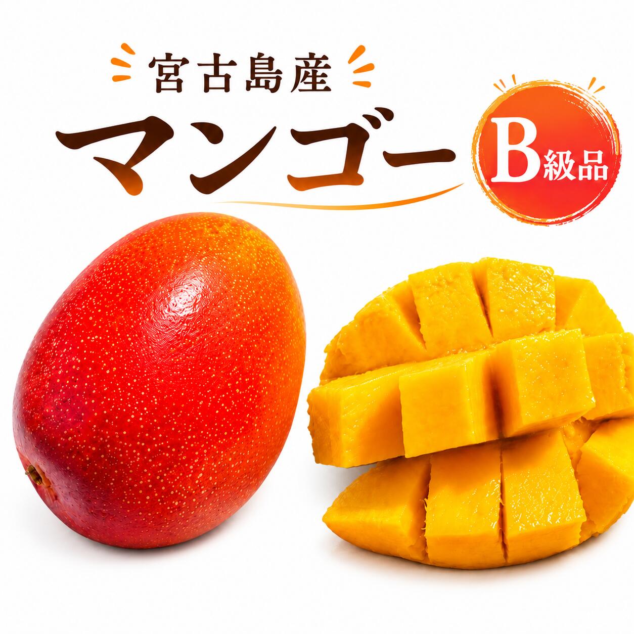 宮古島産 マンゴー 4.5kg以上 【公式WEBショップ】