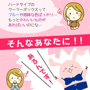 クーラーボックス 小型 クーラーバッグ 日本製【ナチュールクーラー15L】保冷バッグ おしゃれ かわいい アウトドア レジャー BBQ 海水浴 キャンプ 行楽 ピクニック ベランピング コンパクト 軽量 ランチボックス 釣り 防災 部活 冬キャンプ ソロキャンプ通販格安セール情報 楽天 通販