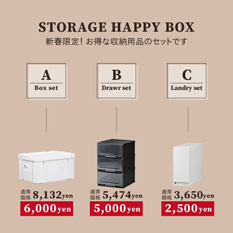 福袋 限定 【ハッピーボックスC】 おすすめ 人気 2025年 おしゃれ かわいい まとめ買い 収納ケース 収納ボックス 収納 リビング キッチン ランドリー クローゼット ファミクロ プラストベーシック バッグ ボックス お得 限定 2