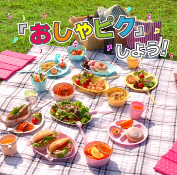 【あす楽】食器セット レジャー食器【ホリデーレジャーパックカラフルセット(4人分)】エコ 電子レンジ対応 食洗機OK ピクニック ベランピング アウトドア 行楽 バーべキュー BBQ キャンプ 運動会 プラスチック食器 ケース付 防災グッズ 遠足 お花見