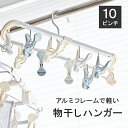10ピンチ 20ピンチ 40ピンチ 洗濯ばさみ アルミ ピンチハンガー アルミピンチハンガー 洗濯バサミ 洗濯 物干し 物干しハンガー タオル タオル掛け バスタオル