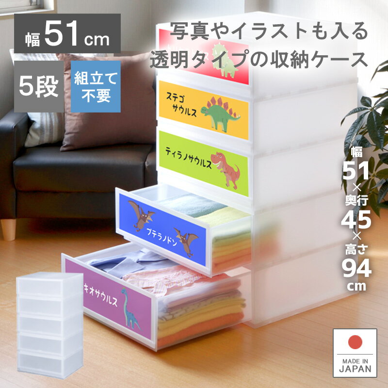 収納ケース プラスチック 引き出し 日本製 幅51cm 奥行45cm 5段【プラストフォトPH5105】ワイド 幅広 ほこりの入りにくい壁タイプ 透明ケース クローゼット 押入れ 衣類収納 衣装ケース PPケース おしゃれ 新生活 巣ごもり