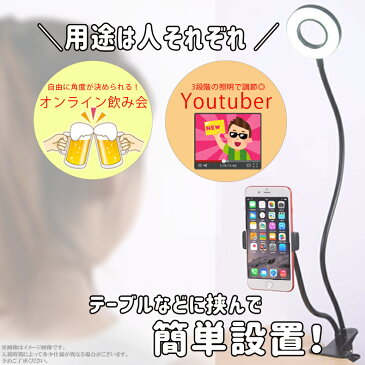 【訳あり】デスクライト LED 電気スタンドライト 卓上ライト LEDライト 読書灯 照明 間接照明 スタンドライト LEDデスクスタンド テーブルライト テーブルスタンド USB充電式 おしゃれ 学習机 スマホスタンド付 3色調光可能 組み立て簡単