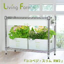 水耕栽培器 水耕栽培キット LEDライト リビングファーム 野菜栽培 植物栽培用 高輝度 LED 600 1本搭載 ココベジスリムRW2（クロームメッキ） 水耕栽培 キット 室内 家庭菜園 野菜 リーフレタス ハーブ バジル 栽培 育苗 育成 野菜づくり